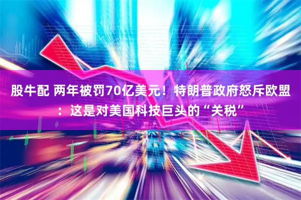 股牛配 两年被罚70亿美元！特朗普政府怒斥欧盟：这是对美国科技巨头的“关税”