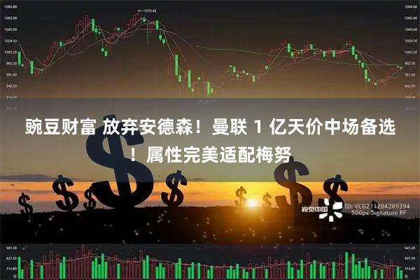 豌豆财富 放弃安德森！曼联 1 亿天价中场备选！属性完美适配梅努